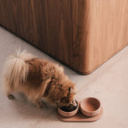 Pino – Cuenco Clásico para Perros – Ultra-durable Arenisca & Hipoalergénico