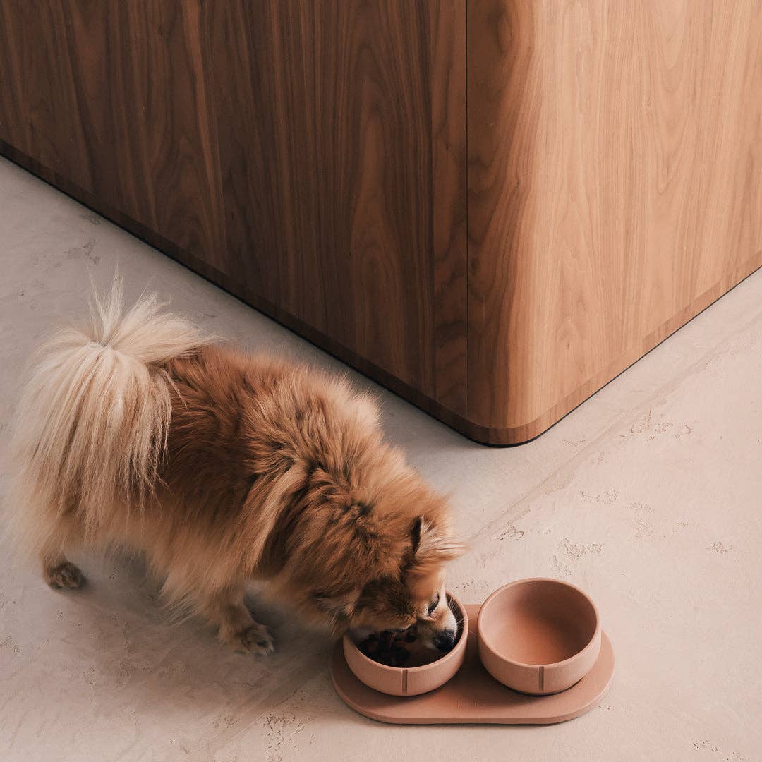 Pino – Cuenco Clásico para Perros – Ultra-durable Arenisca & Hipoalergénico