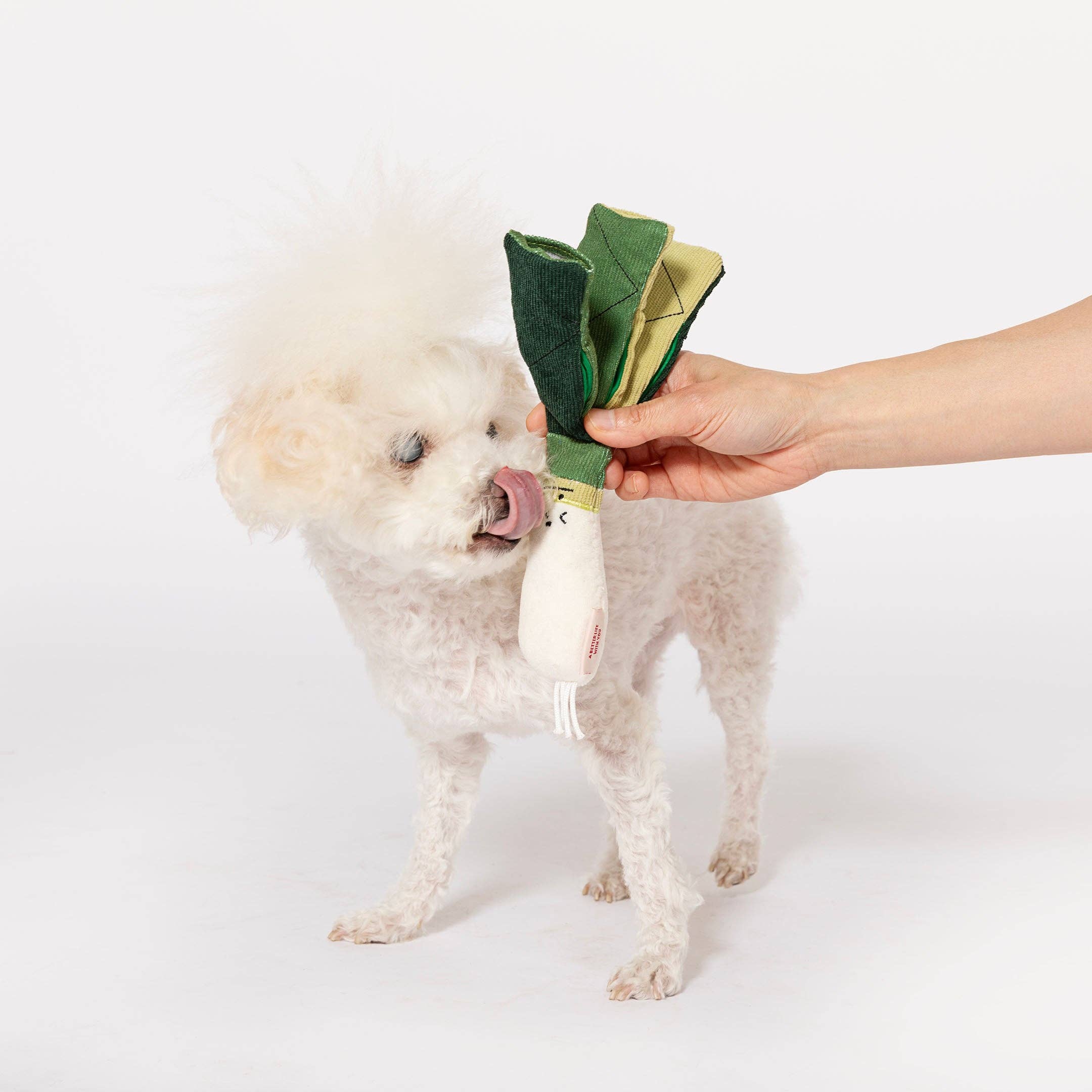 The Furryfolks – Green Onion – Dog Interactive Nosework Toy