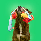 The Furryfolks – Fishing – Jugete Interactivo Tira y Afloja