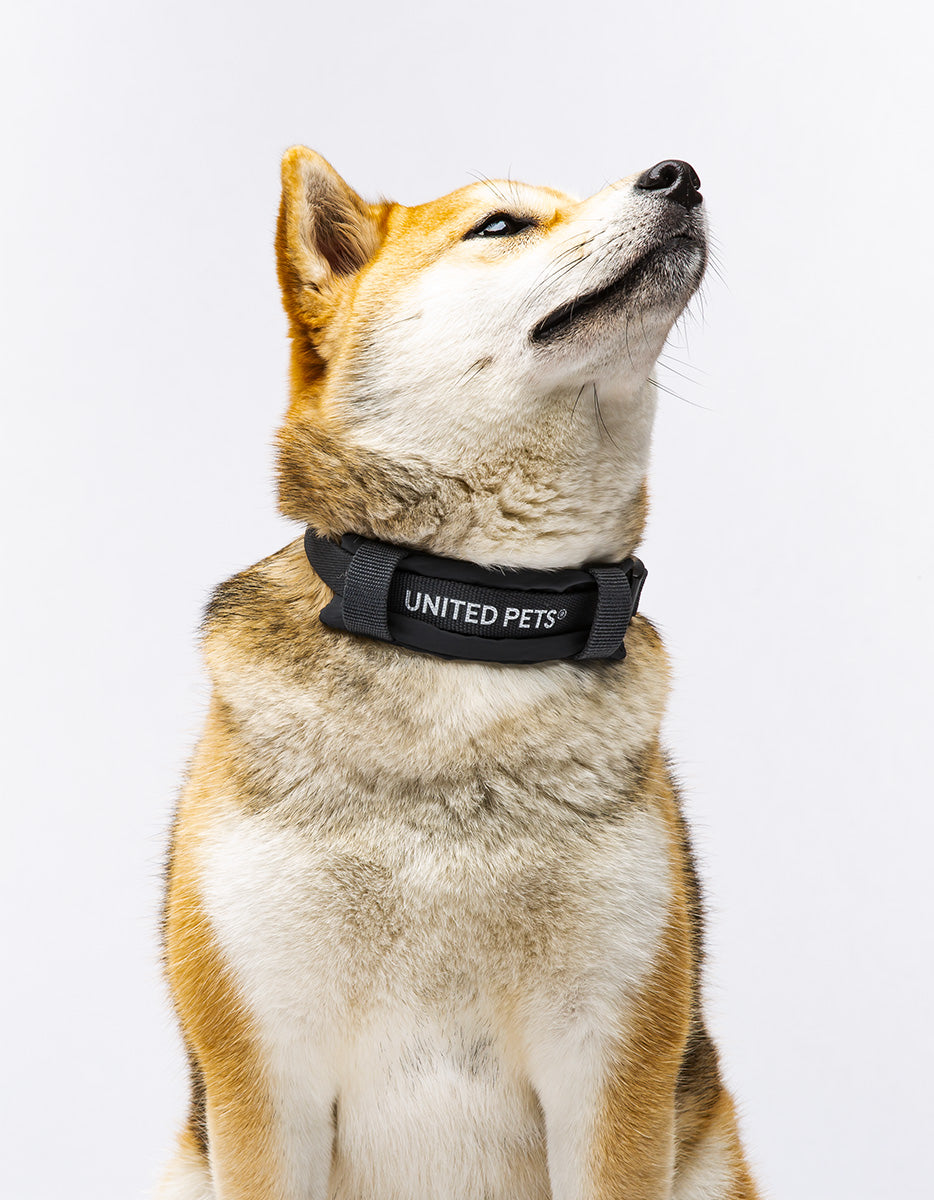 United Pets – Citylife Collar Anthracite Grey – Eco-Friendly