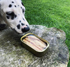 Canumi Wet Dog Food - Wild Atlantic Mackerel Fillets - Adult Dogs