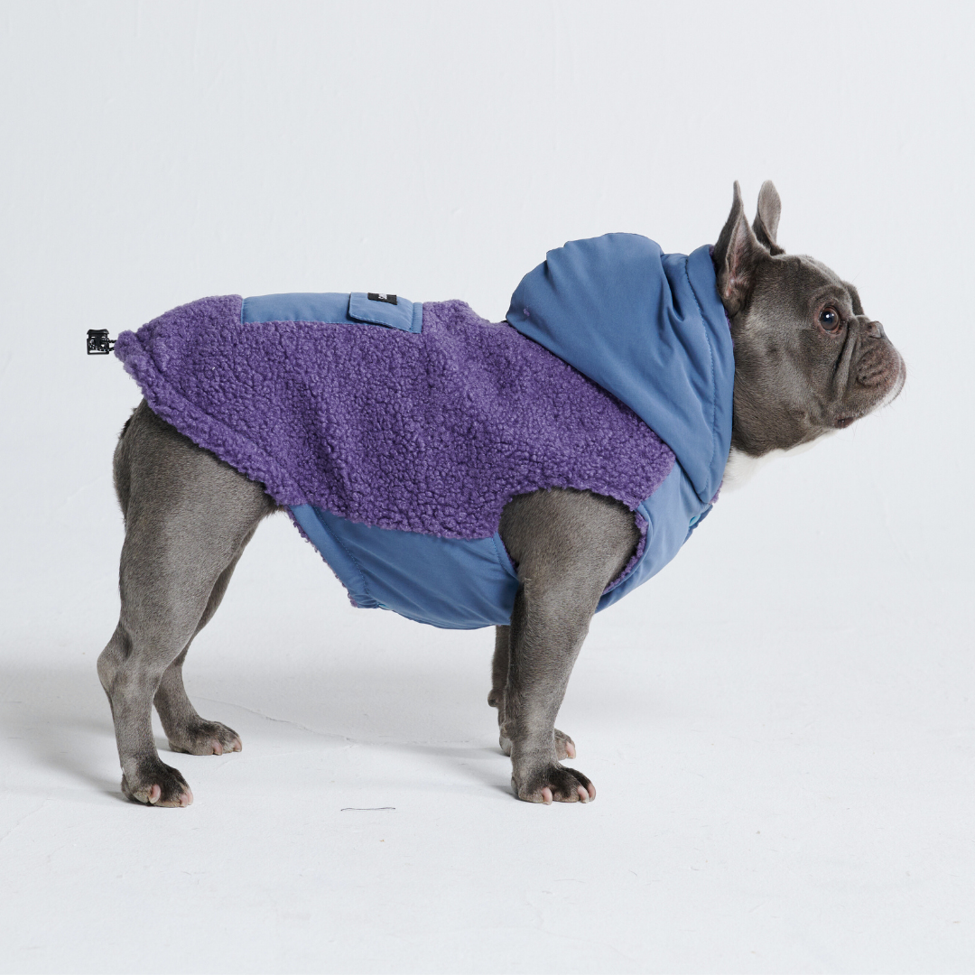 Spark Paws - Reversible Sherpa Jacket - Purple and Blue