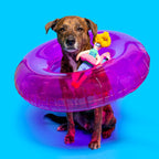 The Furryfolks – Flamingo Hooman – Dog Interactive Nosework Toy