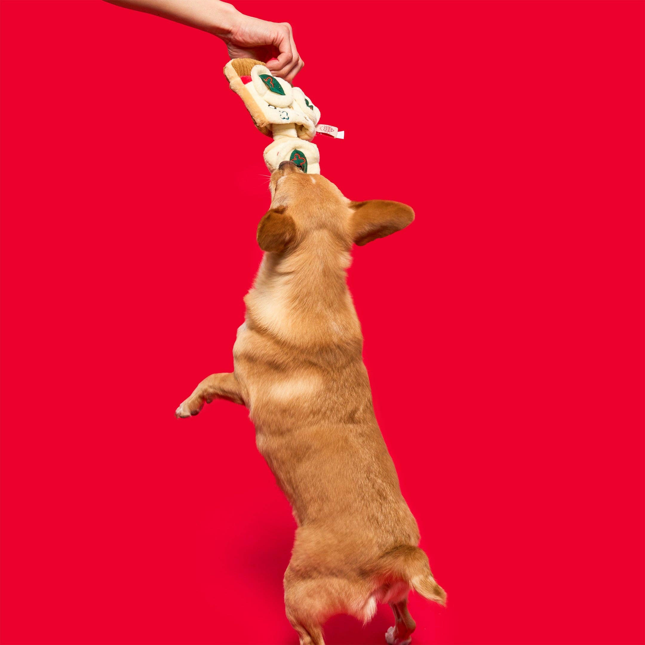 The Furryfolks – Pizza – Dog Interactive Nosework Toy