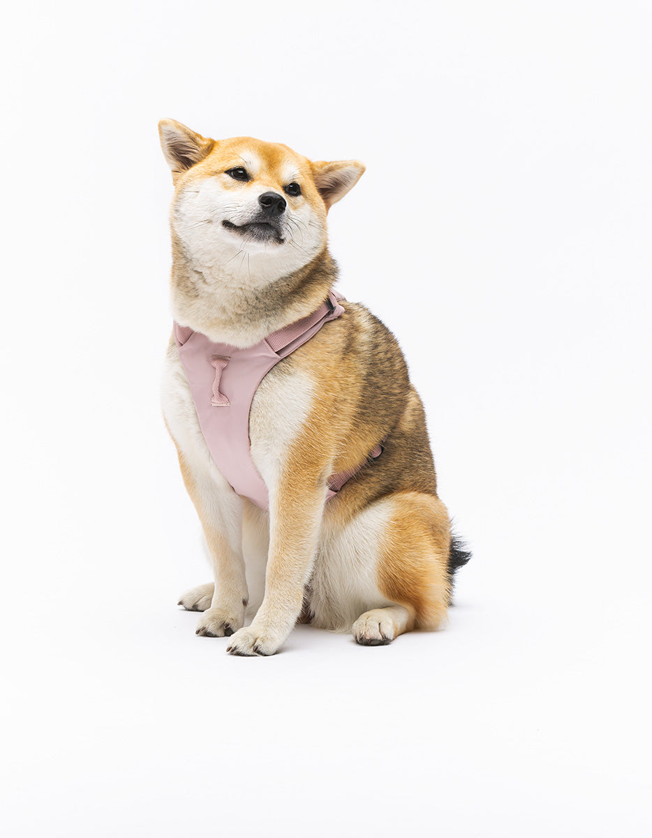 United Pets – Citylife H-Harness Pink – Padded Comfort