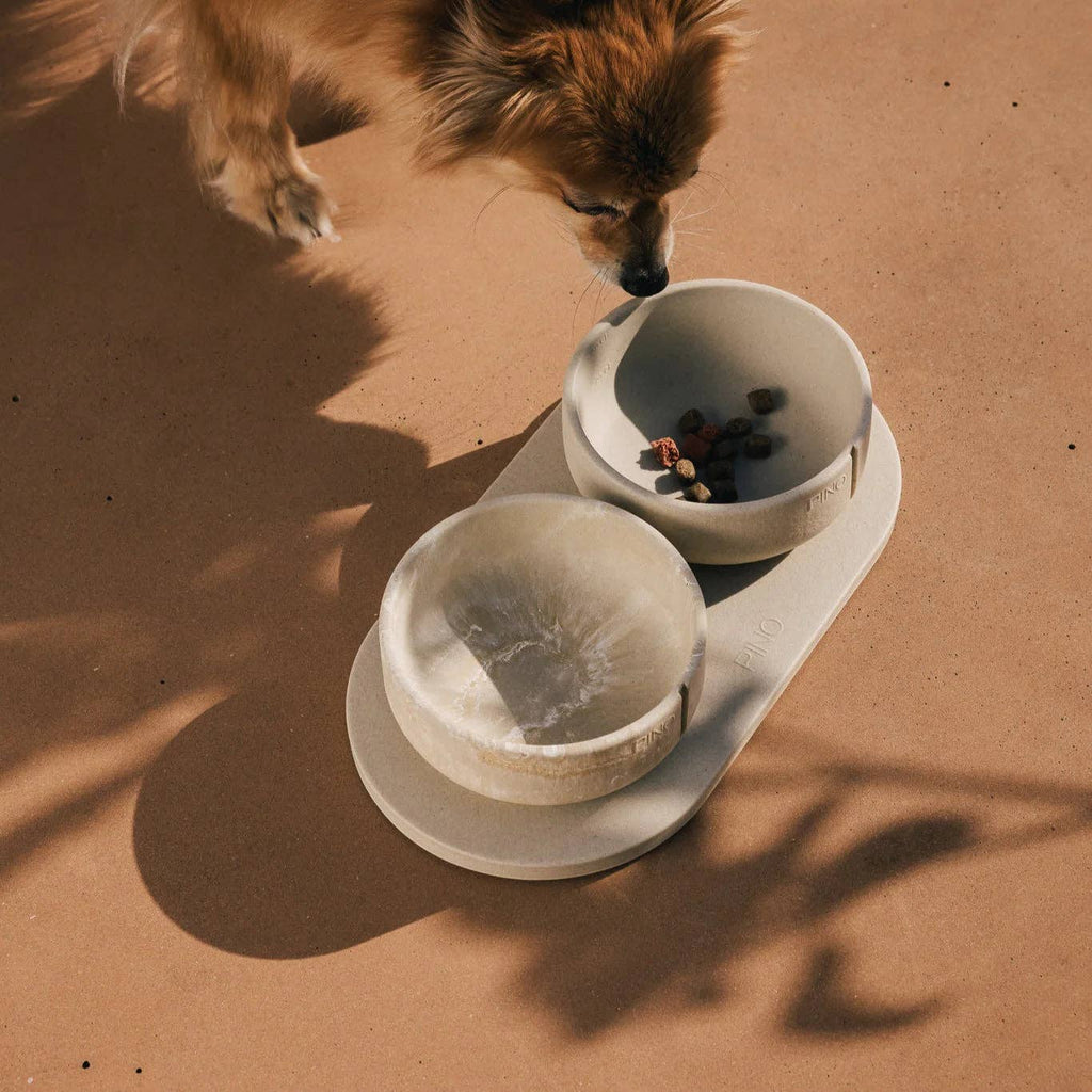 Pino – Classic Dog Bowl – Ultra-durable Sandstone & Hypoallergenic