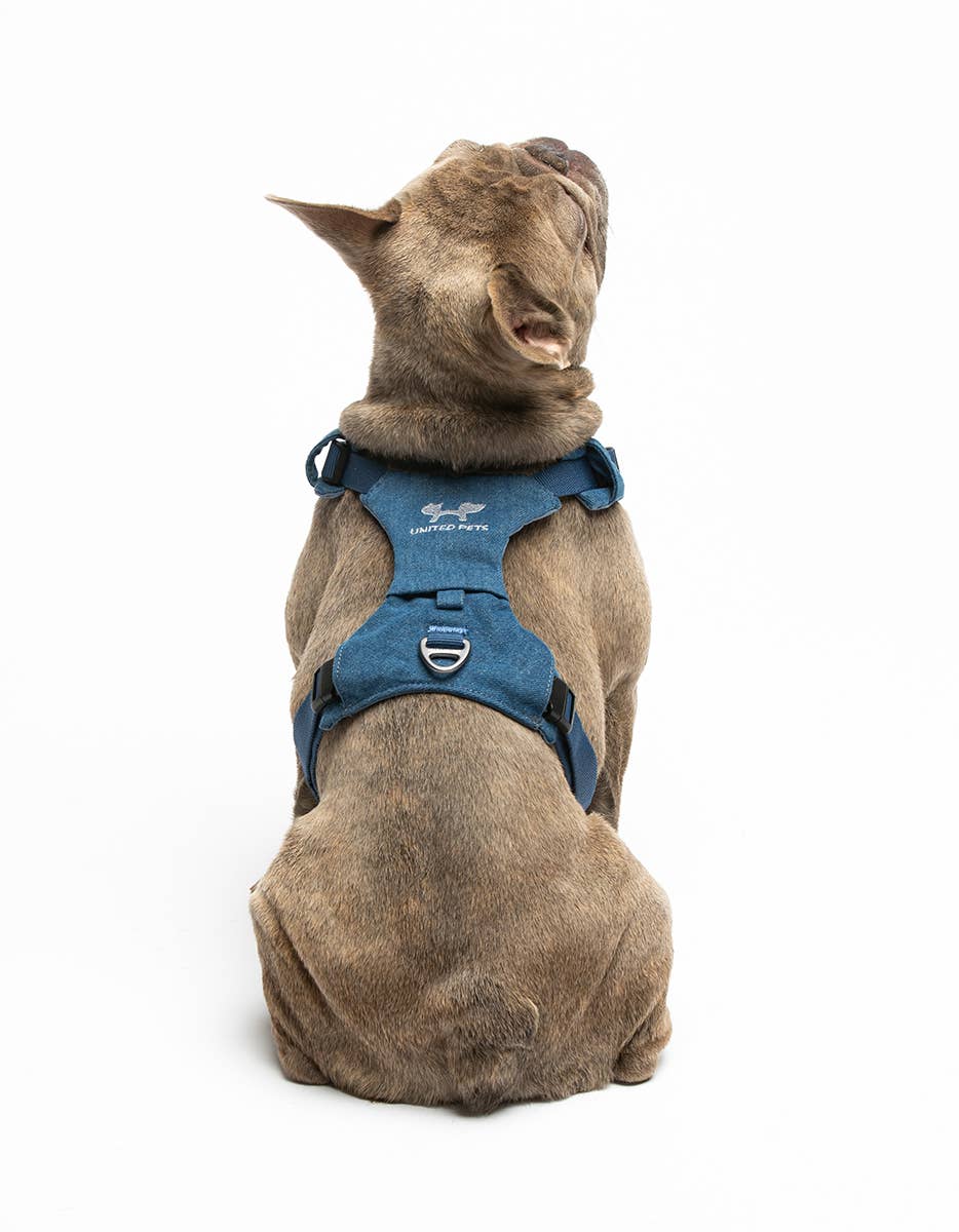 United Pets – Citylife H-Harness Jeans – Padded Comfort