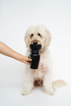 Springland – Flip Black – Portable Travel Bottle 590ML