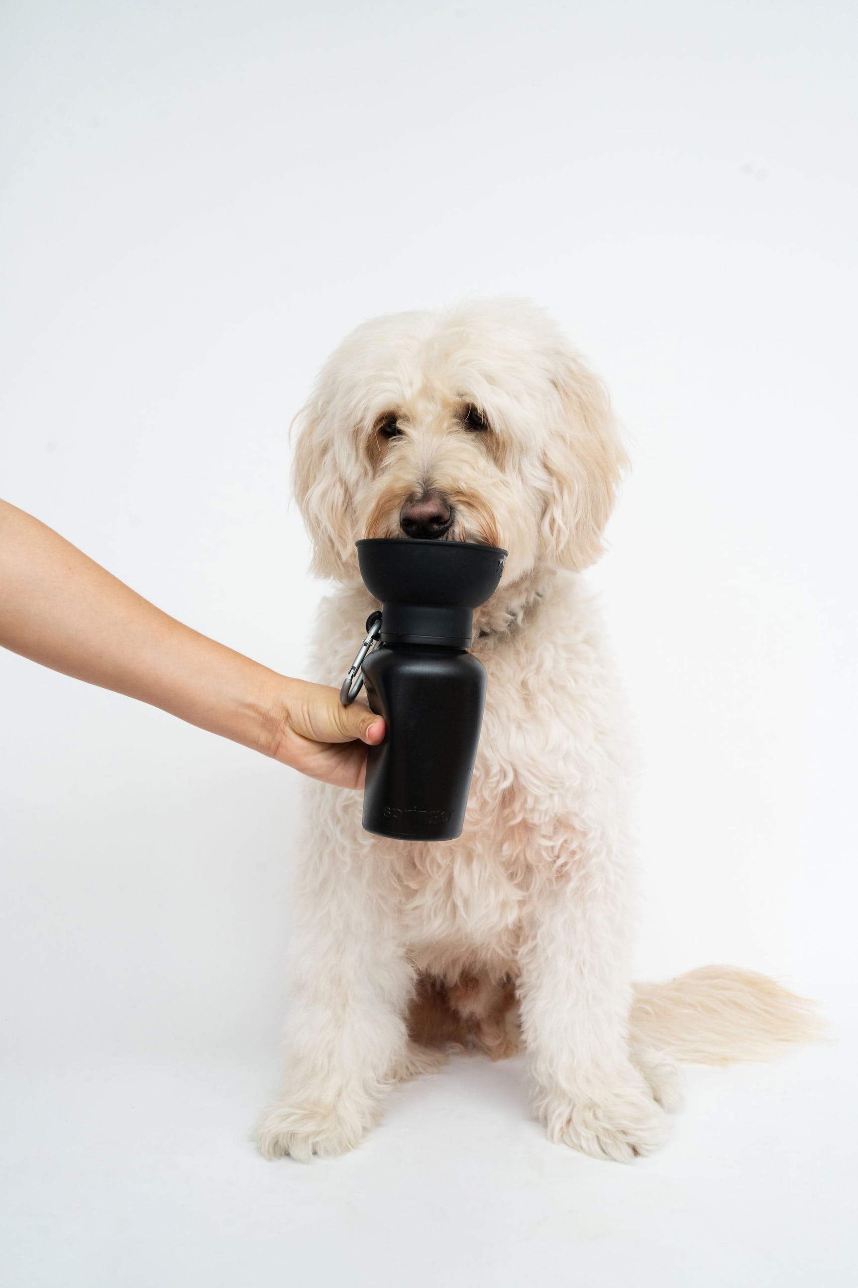Springland – Flip Black – Portable Travel Bottle 590ML