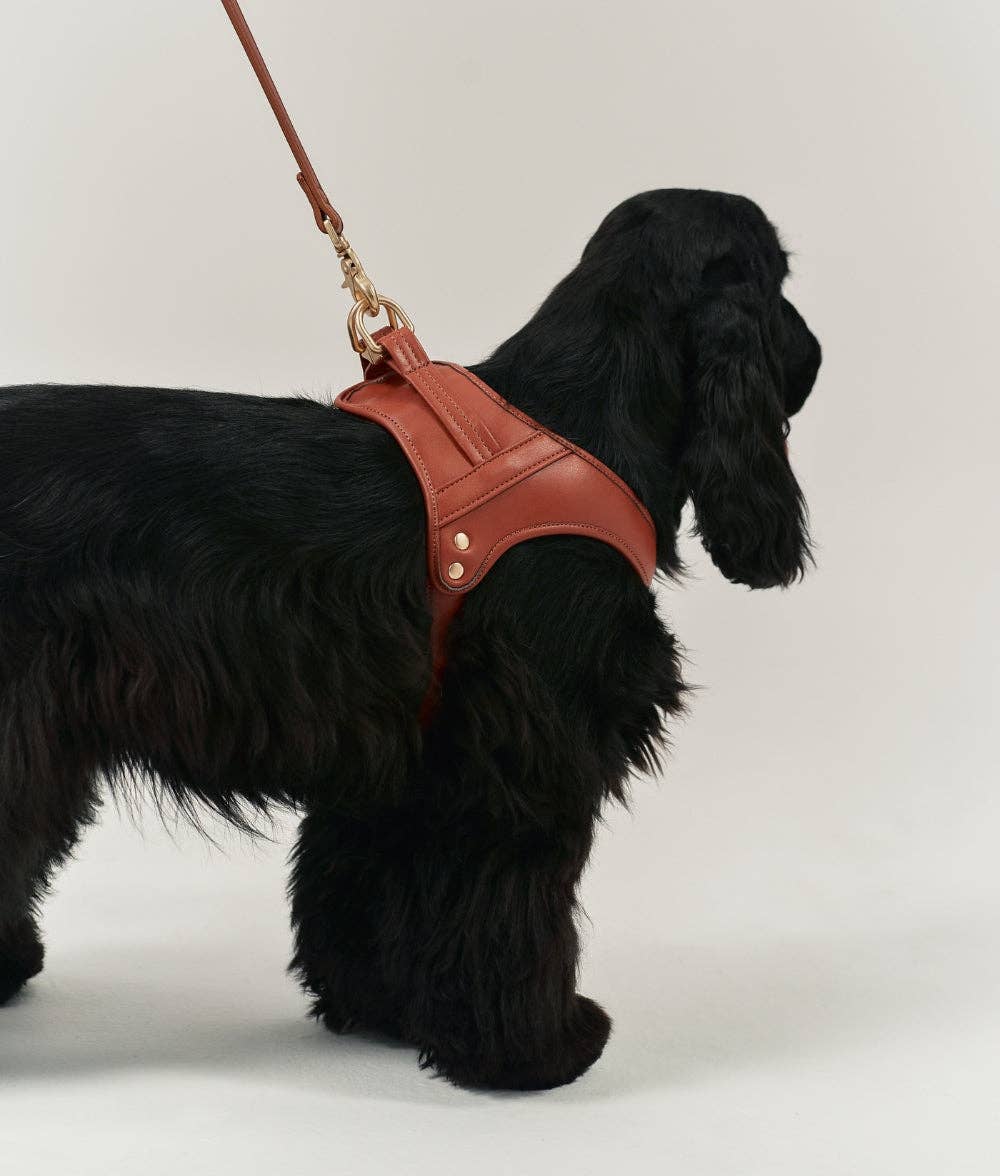 CAFIDE – Jala Harness – Vegan Leather