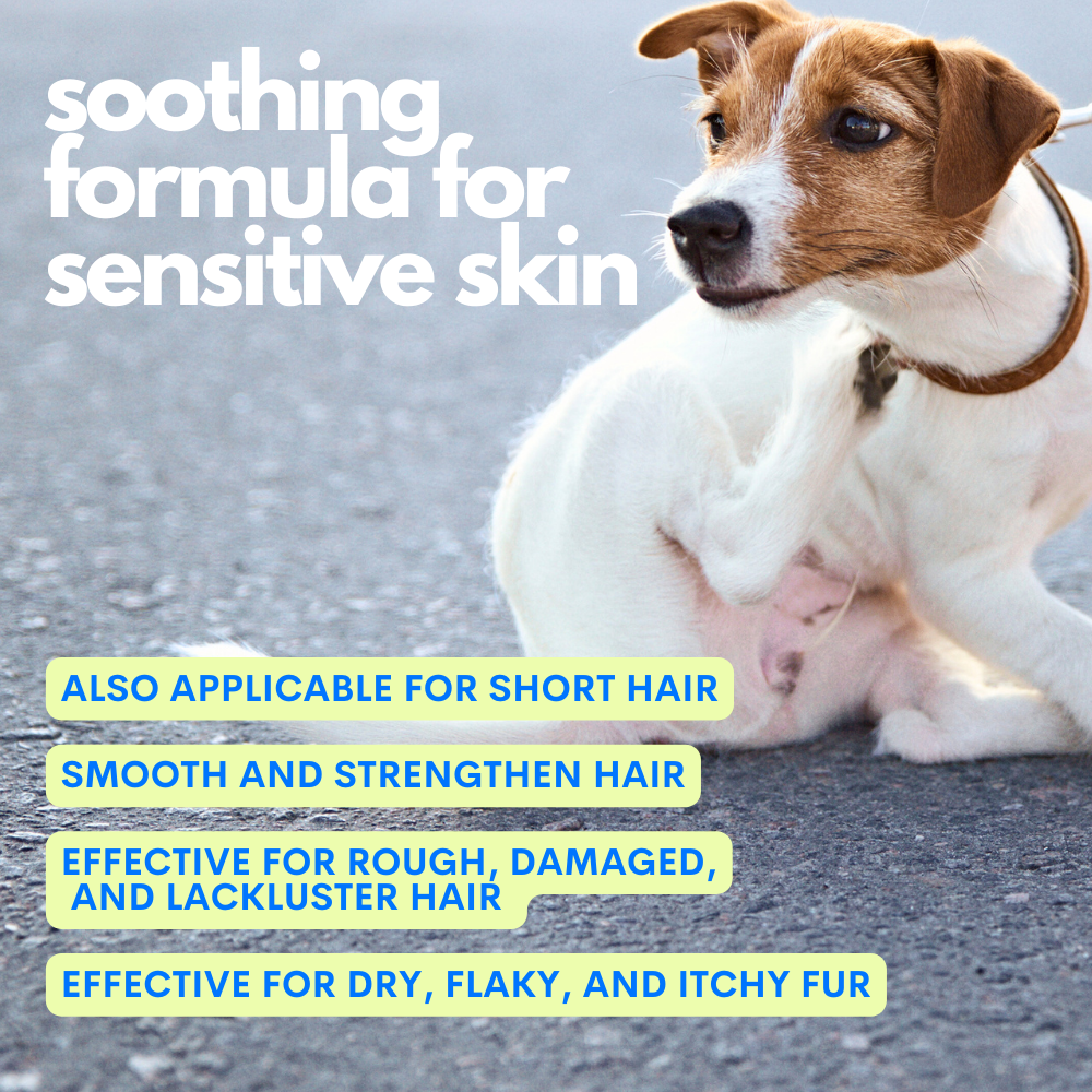 Jampy – So So Soft – Dog Detangling Spray