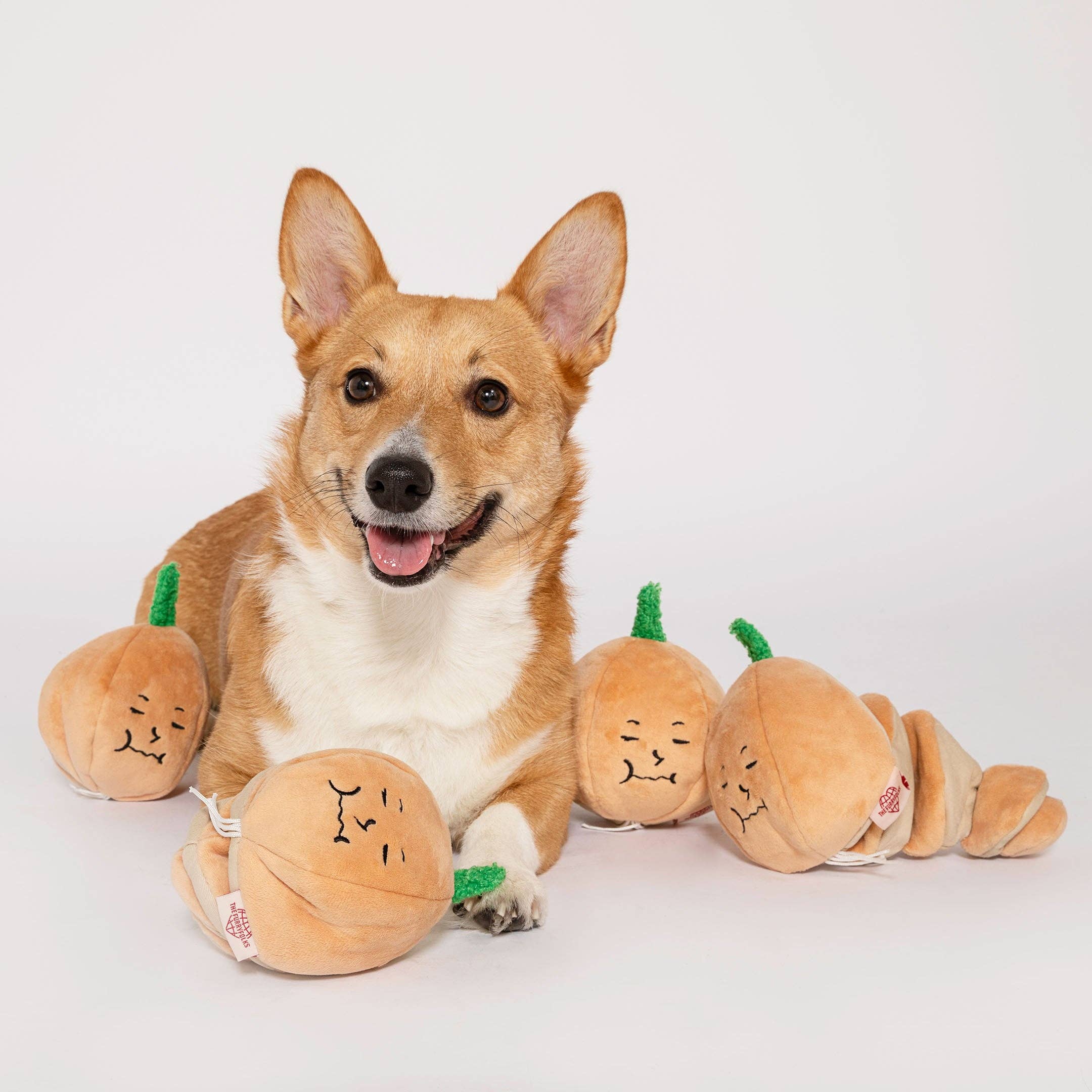 The Furryfolks – Yellow Onion – Dog Interactive Nosework Toy