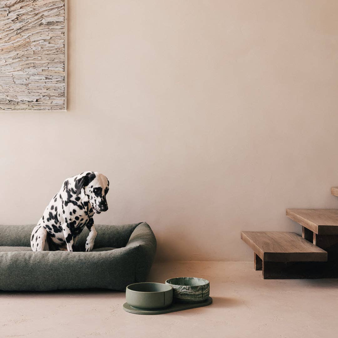 Pino – Classic Dog Bowl – Ultra-durable Sandstone & Hypoallergenic