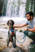 Woolly Wolf – Color Block Harness – Recycled Material
