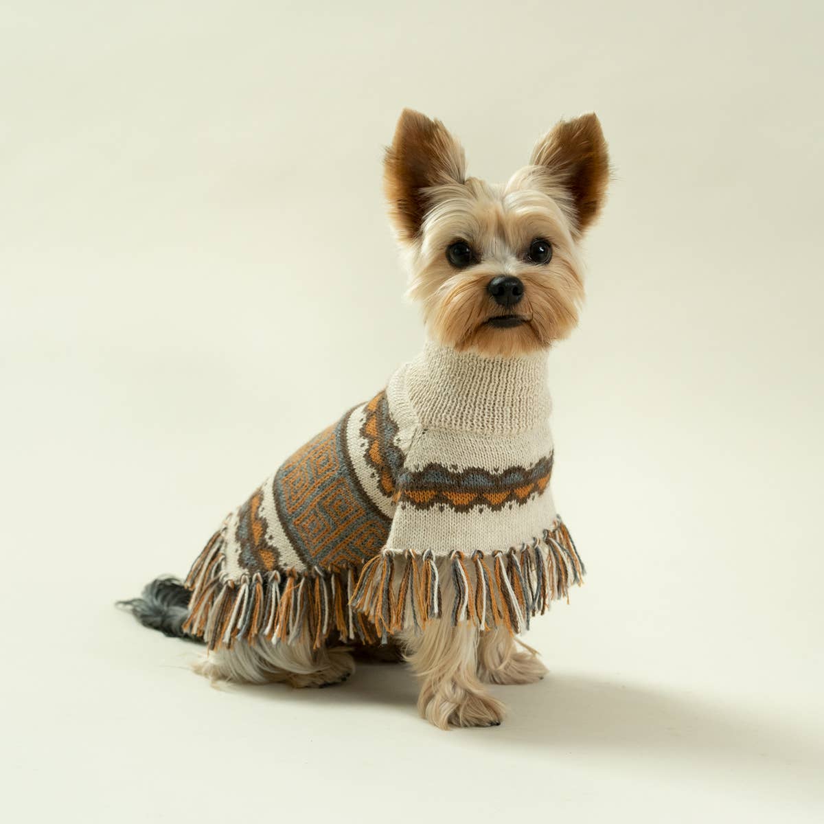 Alqo Wasi - Pisac Alpaca Dog Poncho