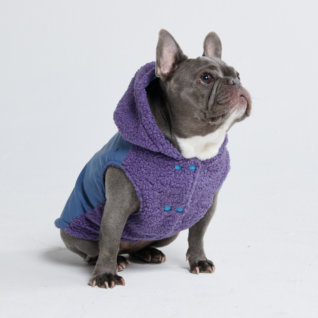 Spark Paws - Reversible Sherpa Jacket - Purple and Blue