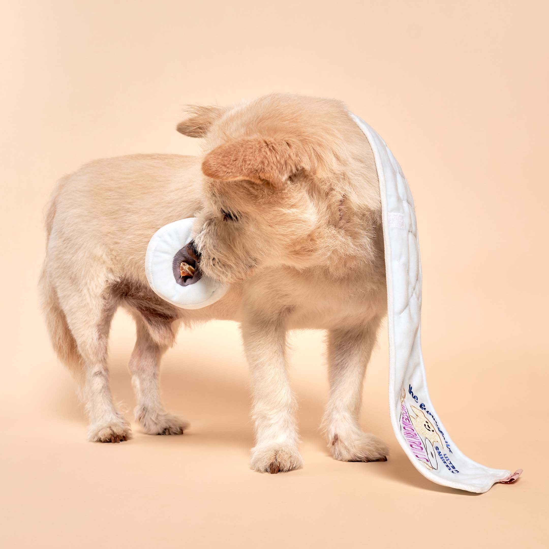 The Furryfolks – Toilet Paper – Dog Interactive Nosework Toy