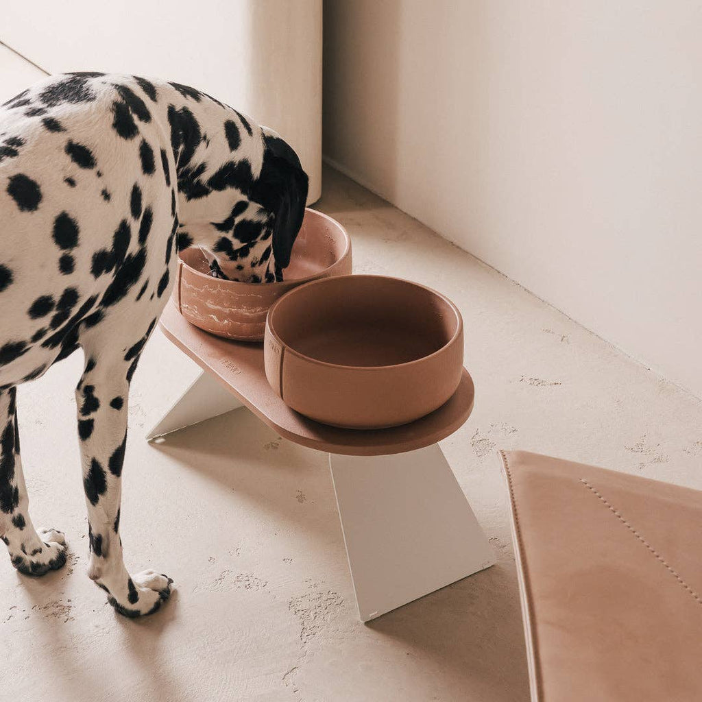 Pino – Cuenco Clásico para Perros – Ultra-durable Arenisca & Hipoalergénico