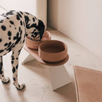 Pino – Cuenco Clásico para Perros – Ultra-durable Arenisca & Hipoalergénico