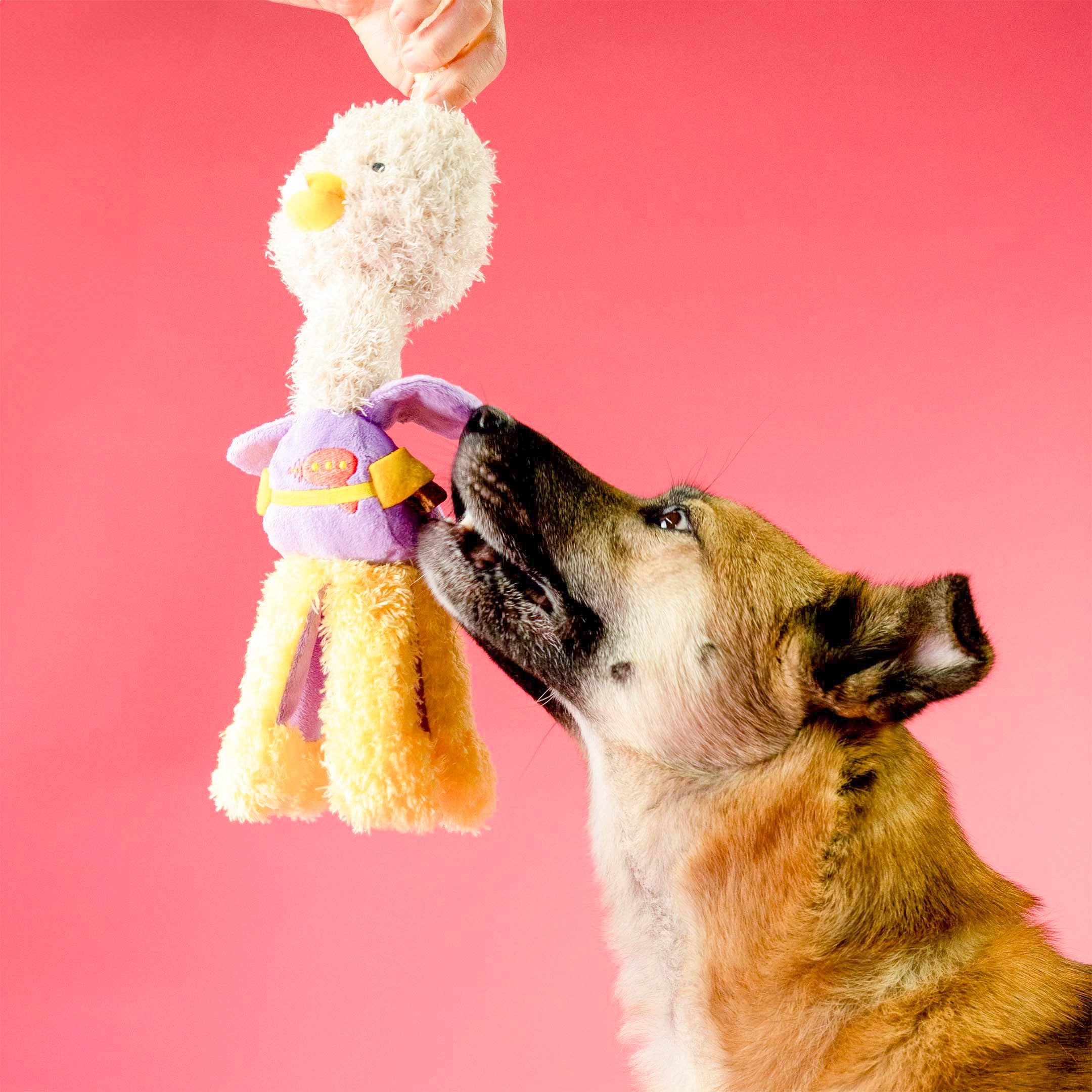 The Furryfolks – OstriKraken – Juguete Interactivo