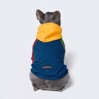 Spark Paws - Primary Color Block Dog Hoodie