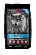 WILD FISH Semihumedo ONLY FISH