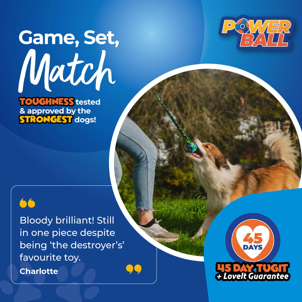 Tug-e-Nuff – PowerBall Bungee Tug