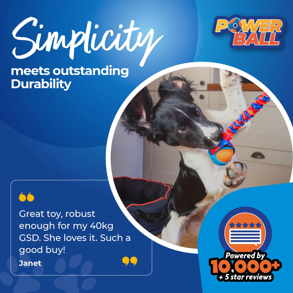 Tug-e-Nuff – PowerBall Bungee Tug