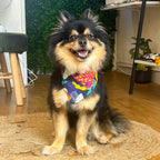 Malü – Jungli Bandana – Hand Made