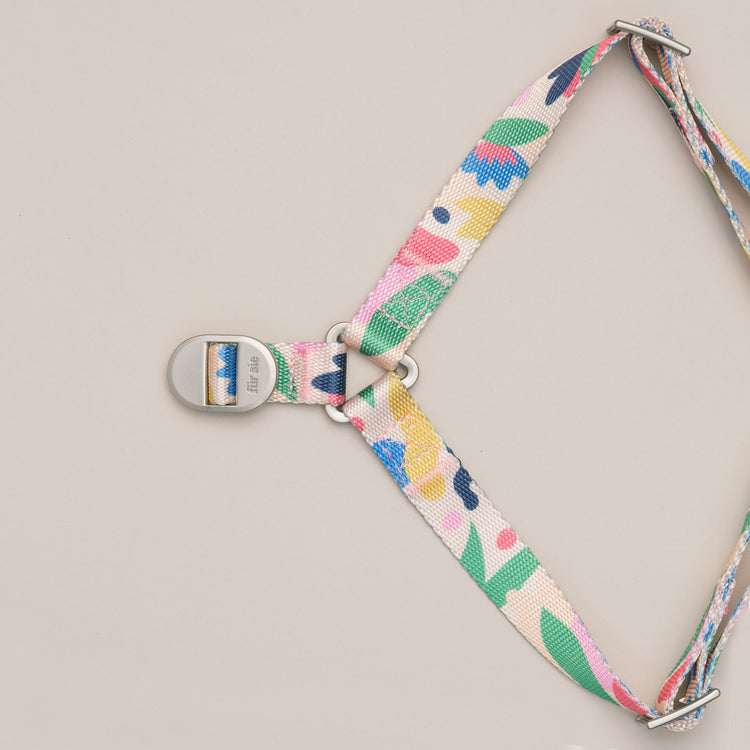 Fur Sie Dog Harness - Gaston