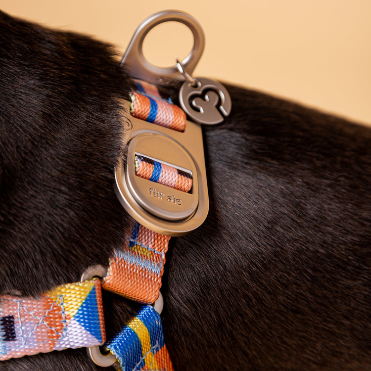 Fur Sie Arnés para perros - Sabine
