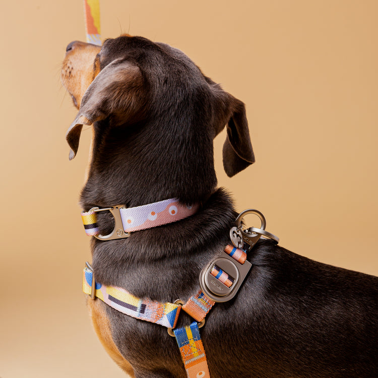 Fur Sie Dog Harness - Una