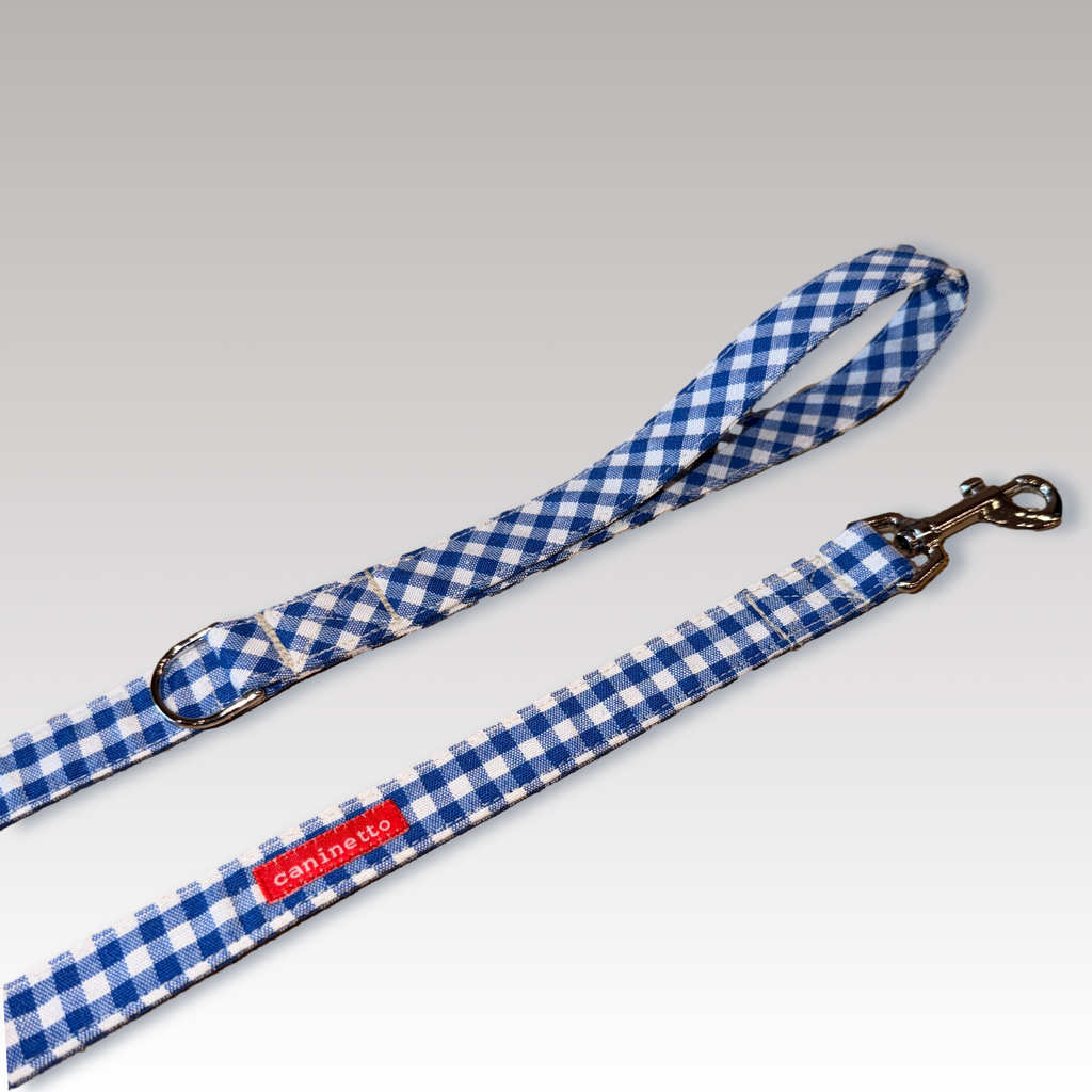 Caninetto Correa Forrada Vichy Azul Eléctrico - Nylon 1.2m