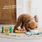 Wild Balance Lightly Cooked Frozen Dog Food - Chicken & Veg - Adult