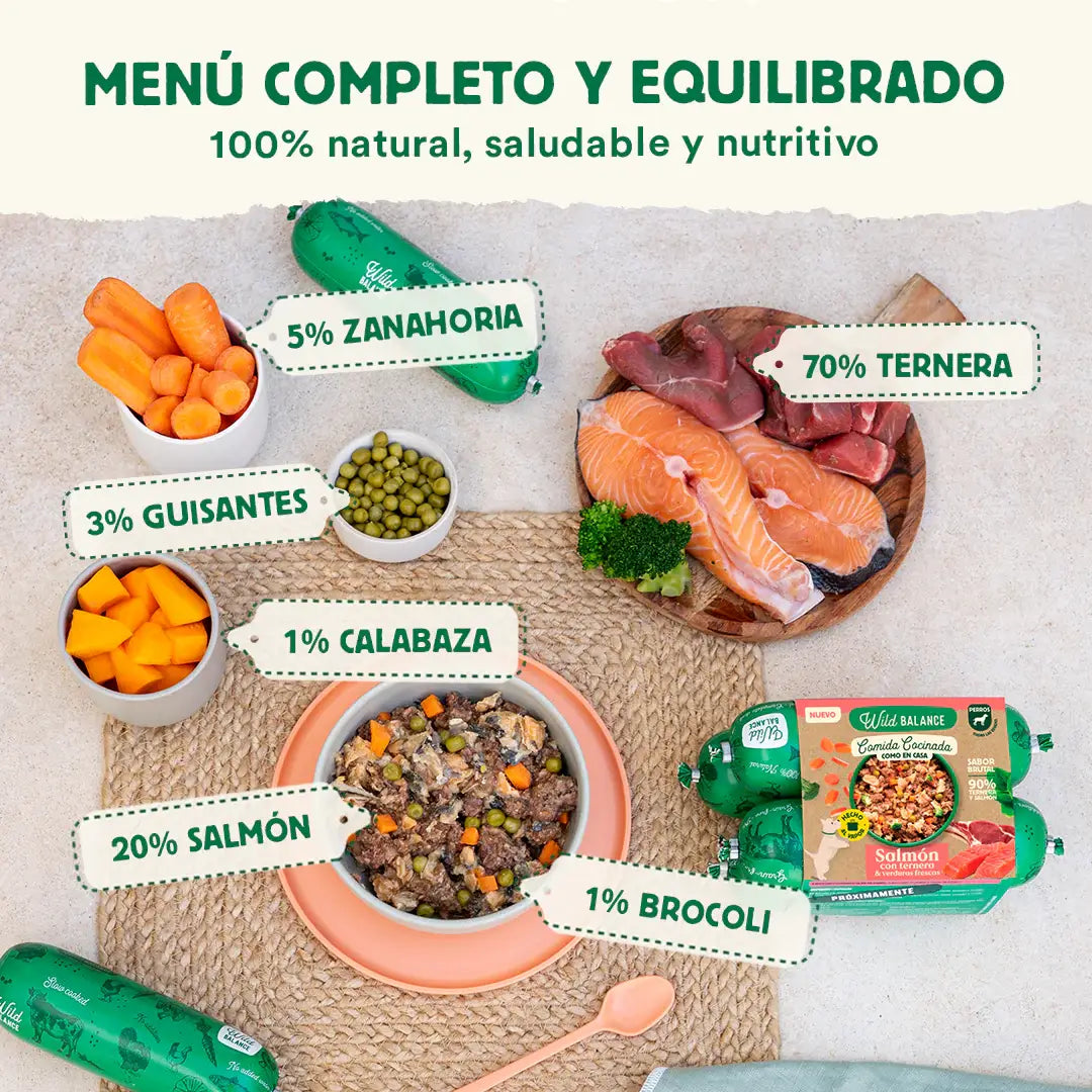 Wild Balance Lightly Cooked Frozen Dog Food - Salmon & Beef Recipe - Adult