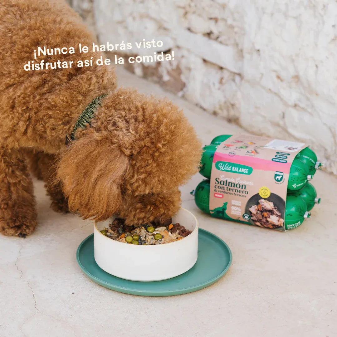 Wild Balance Lightly Cooked Frozen Dog Food - Salmon & Beef Recipe - Adult