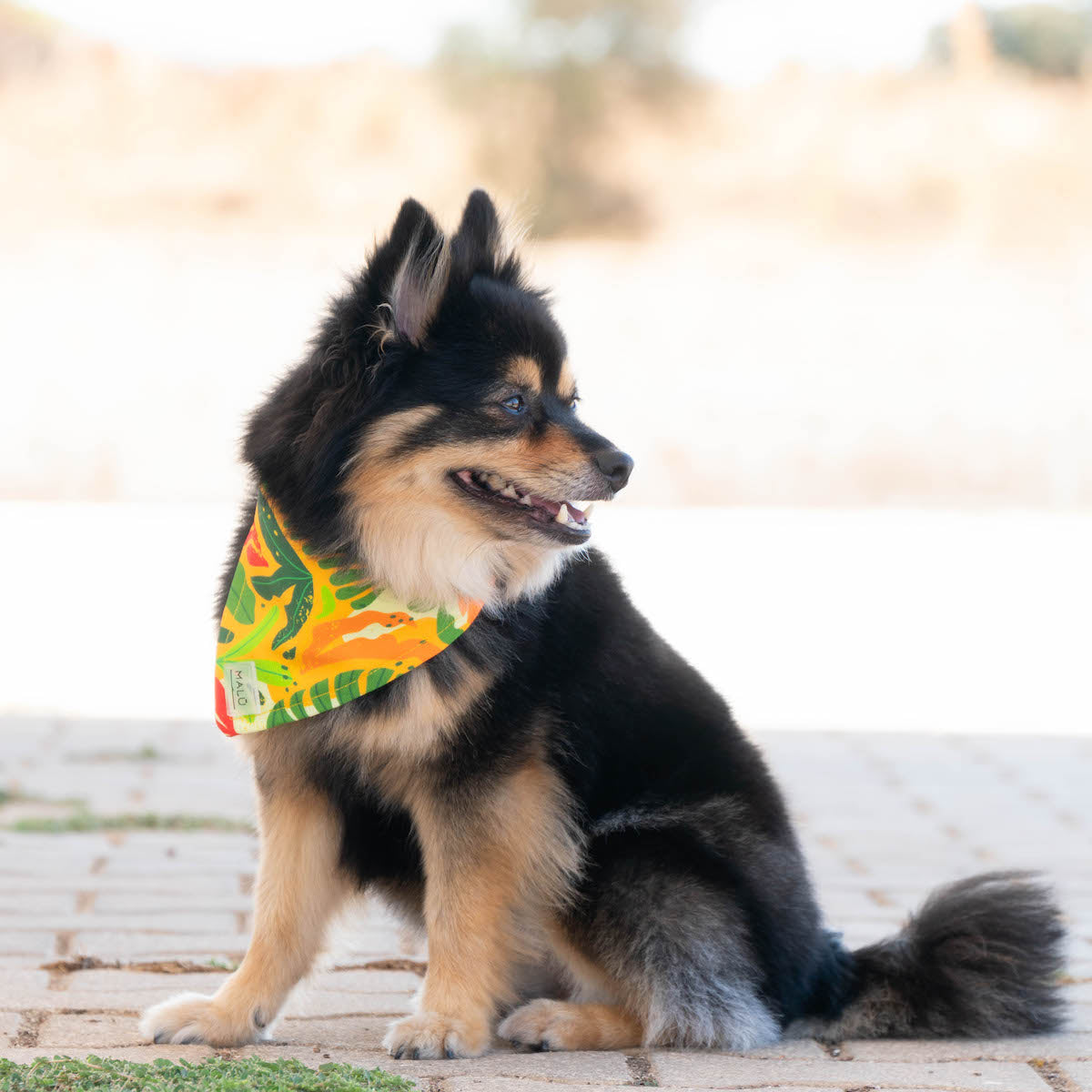 Malü – Tami Bandana – Hand Made