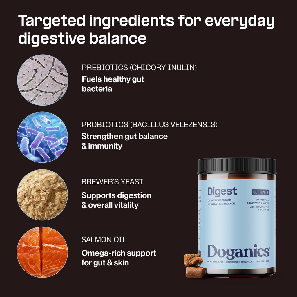 Doganics – Digest – Daily Multivitamin Chews