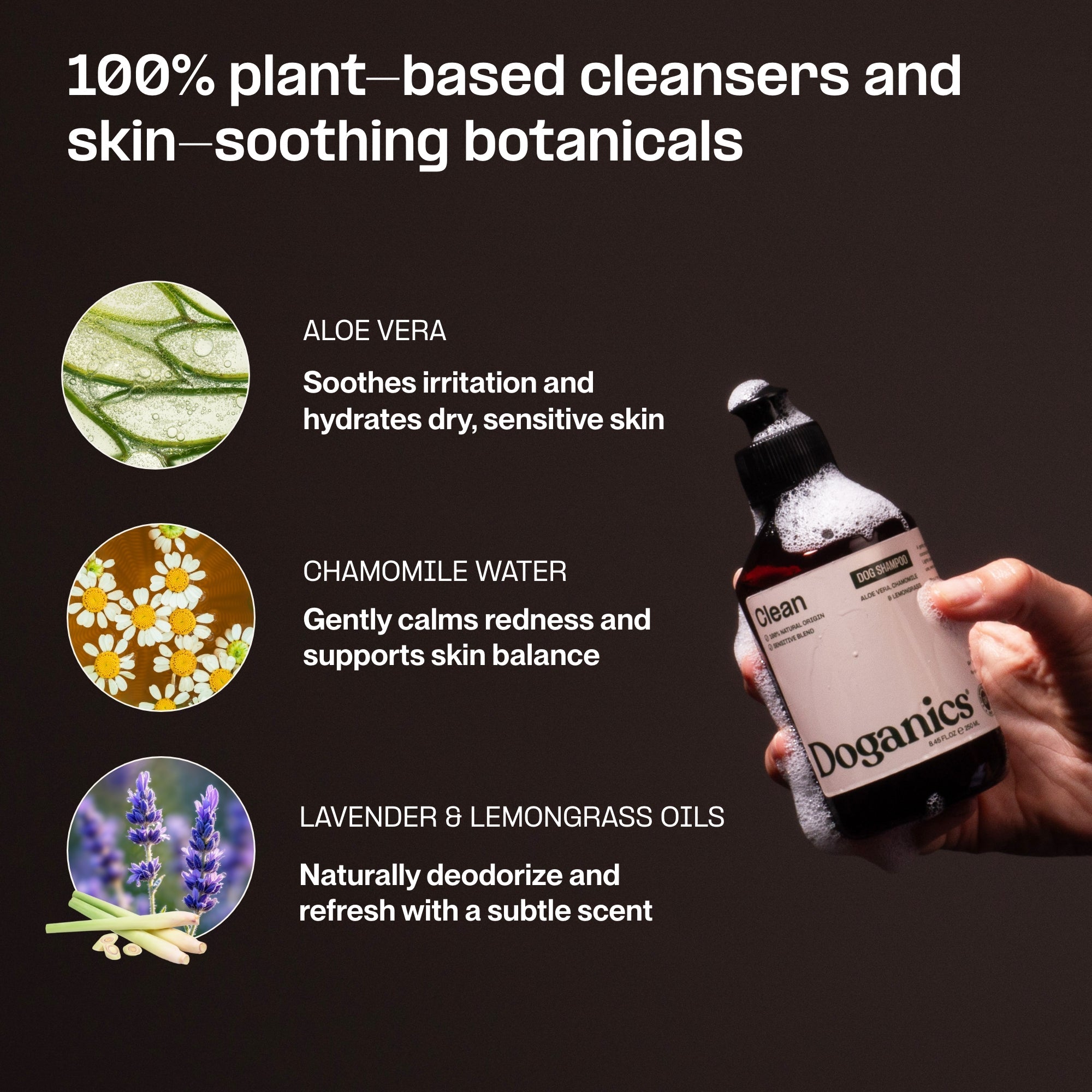 Doganics – Natural Dog Shampoo – Soothing Cleanse