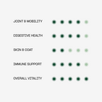 Doganics – Core+ – Daily Multivitamin Chews