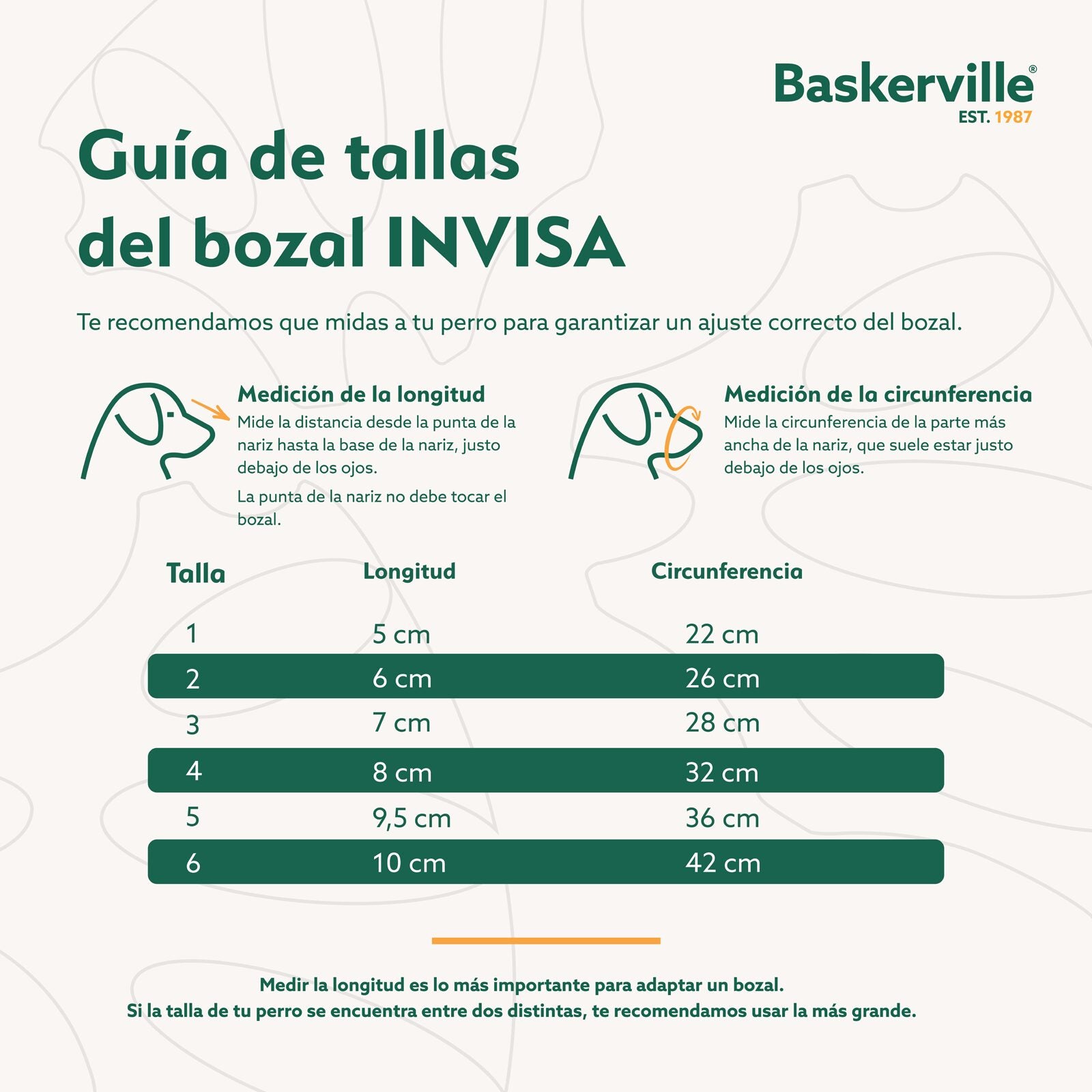 Baskerville – Bozal INVISA