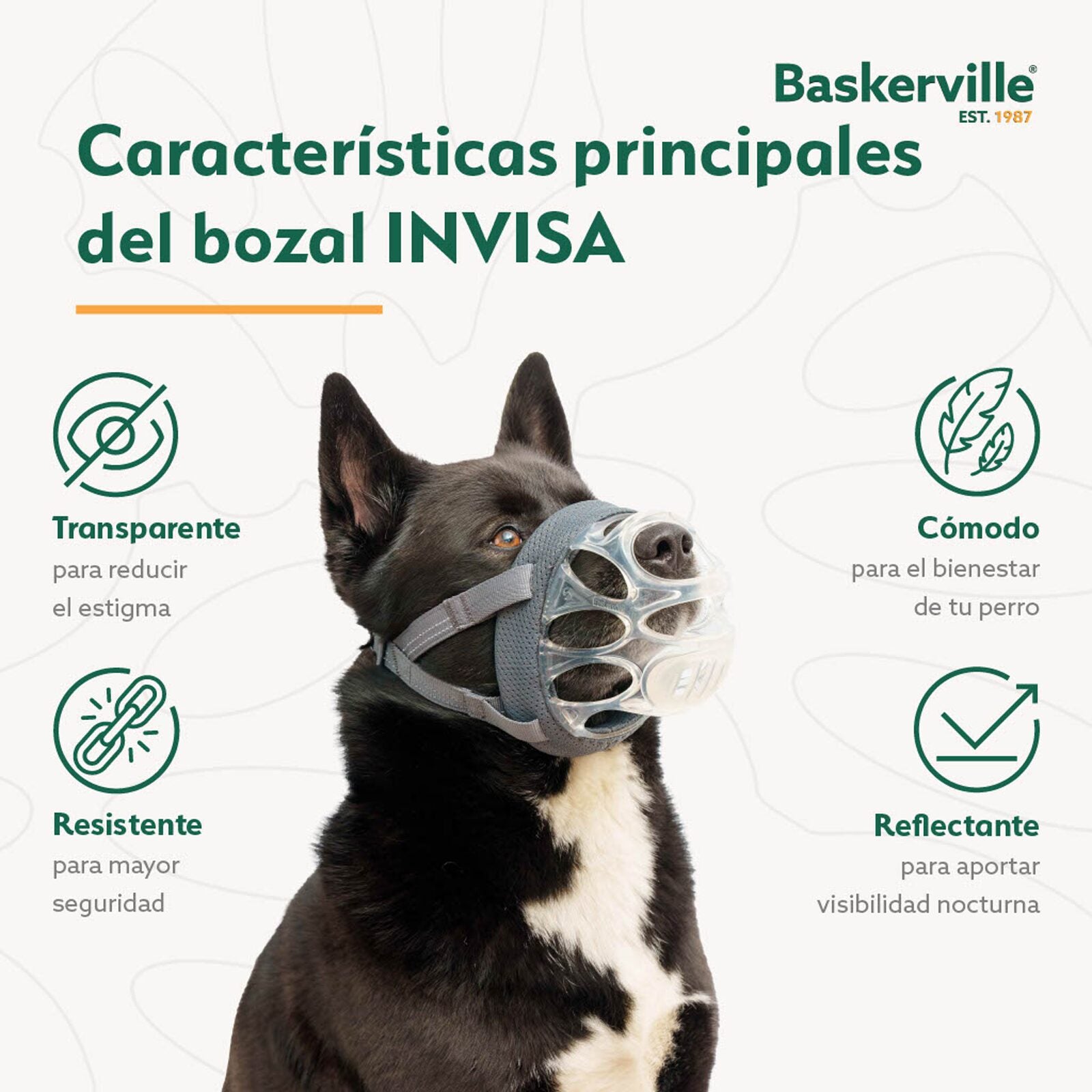 Baskerville – Bozal INVISA