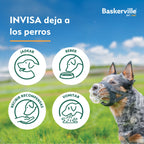 Baskerville – Bozal INVISA