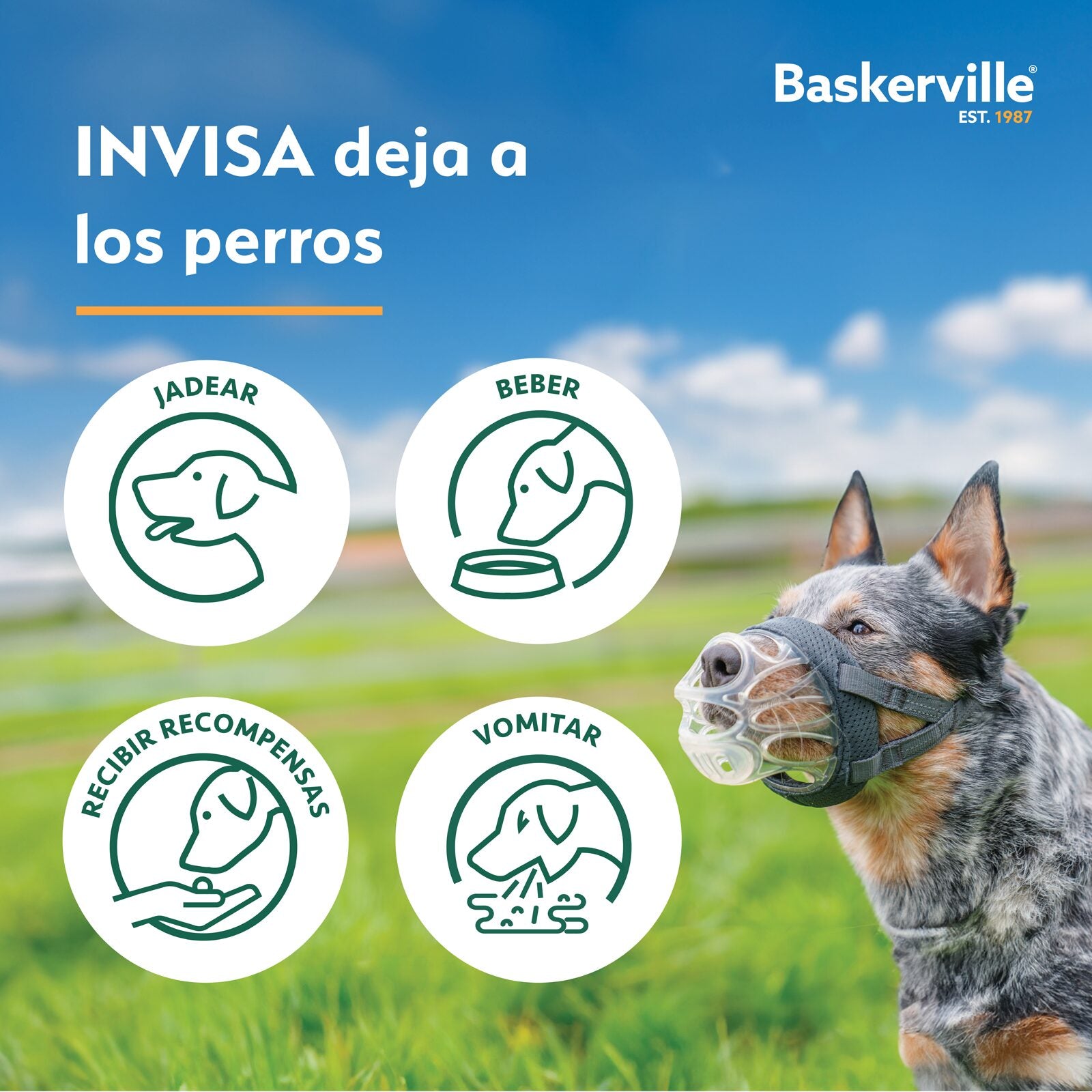 Baskerville – Bozal INVISA