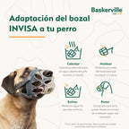 Baskerville – Bozal INVISA