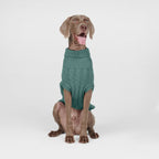 Spark Paws - Jersey de punto trenzado para perros - Pino Verde