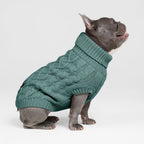 Spark Paws - Jersey de punto trenzado para perros - Pino Verde