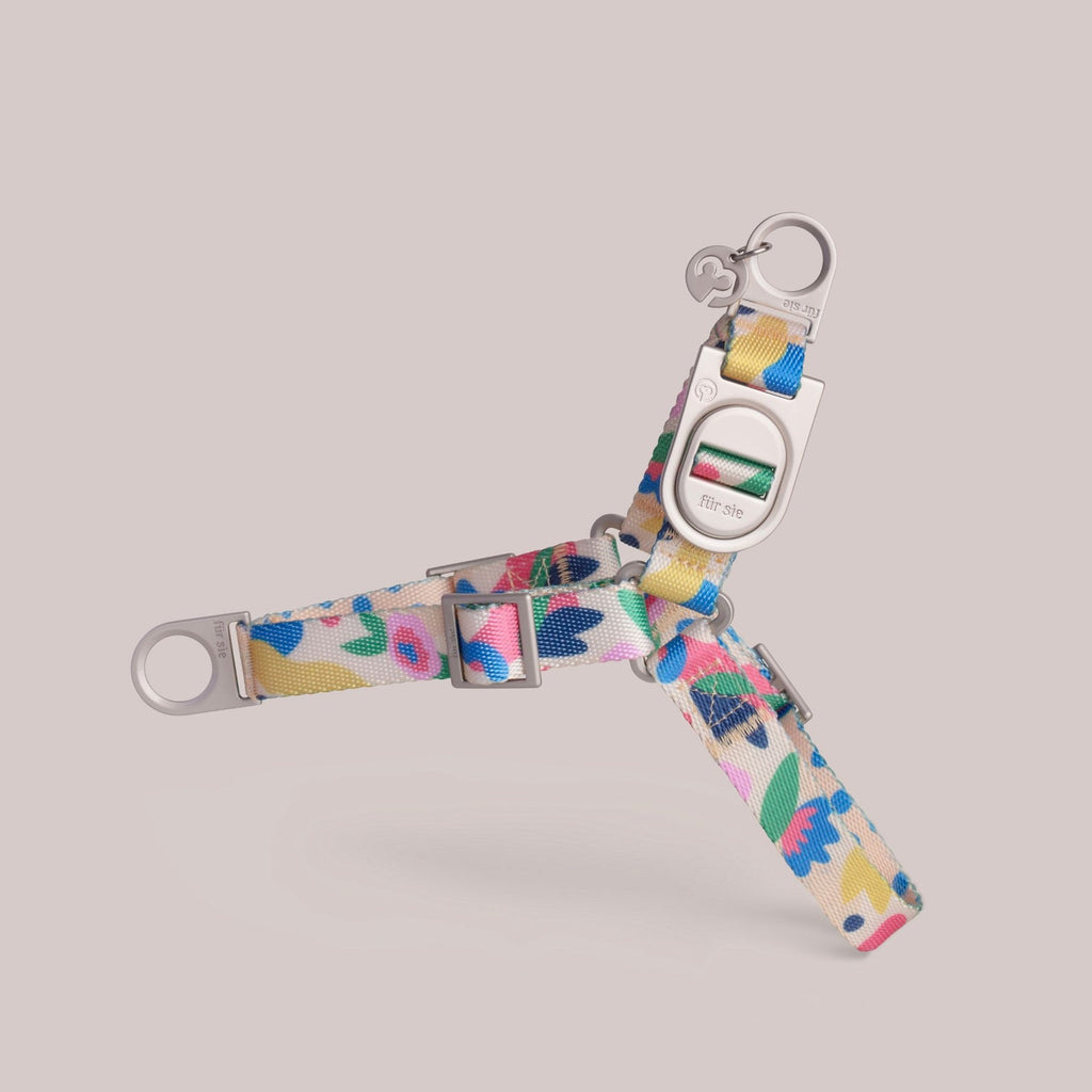 Fur Sie Dog Harness - Gaston
