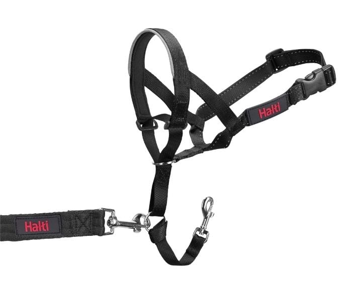 Halti – Headcollar – Anti-Pull Design